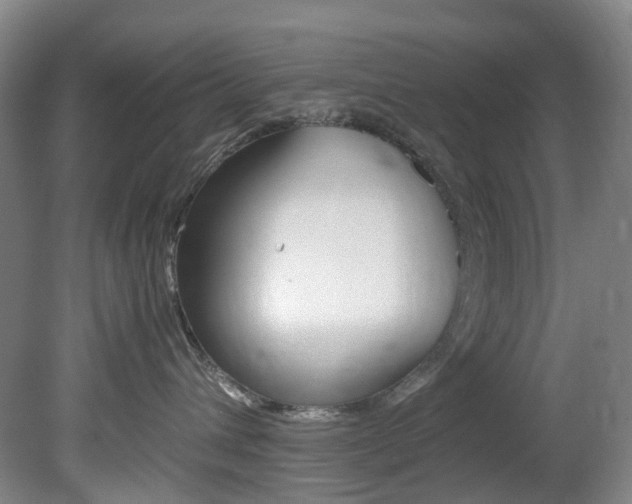 X0000082150432200701191028