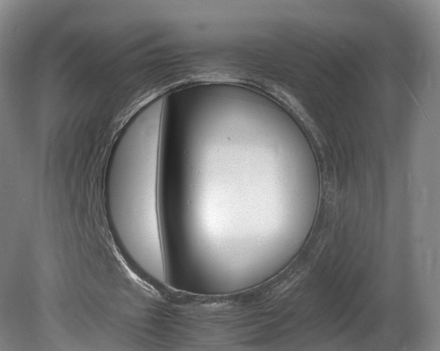 X0000082150433200701191027