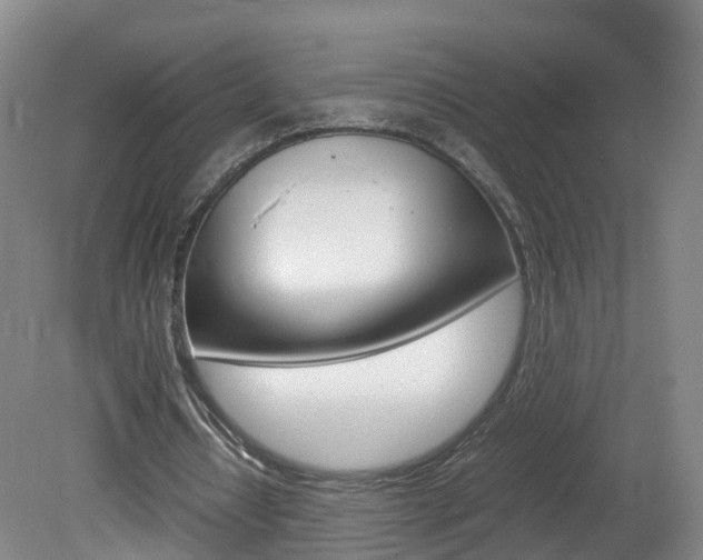X0000082150434200701191027