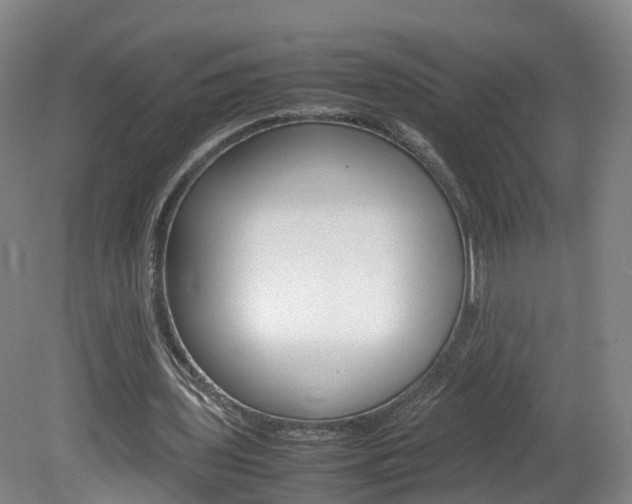 X0000082150435200701191027
