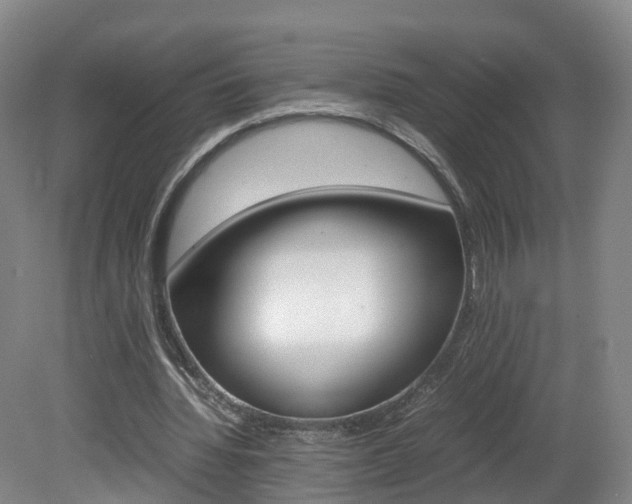 X0000082150436200701191027