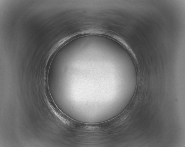 X0000082150437200701191028