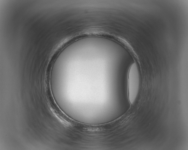 X0000082150439200701191028