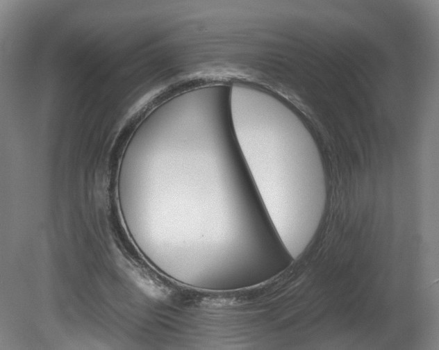 X0000082150440200701191028