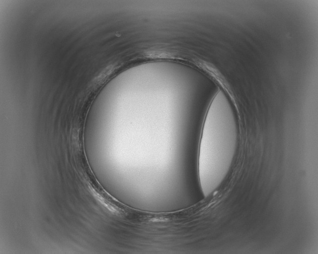 X0000082150441200701191028