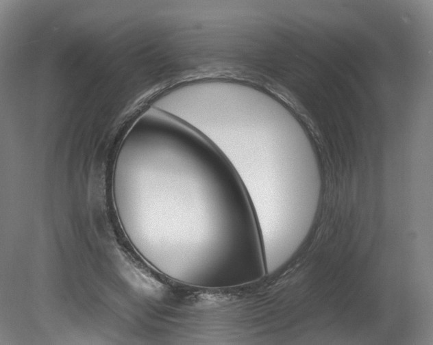 X0000082150442200701191028