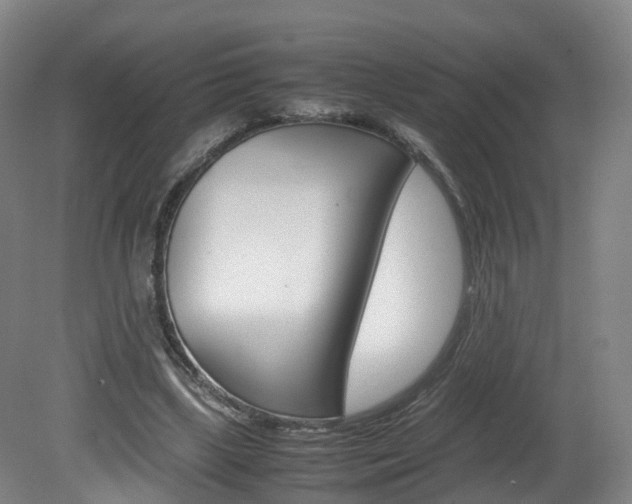 X0000082150443200701191028