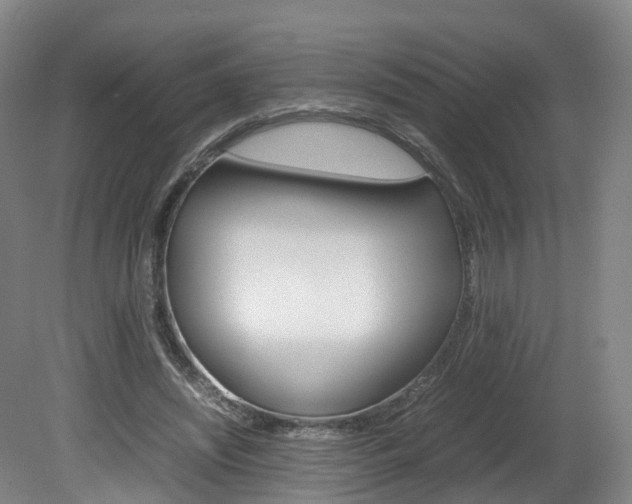 X0000082150444200701191028
