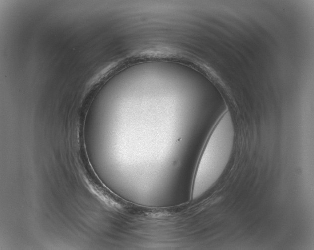 X0000082150446200701191028