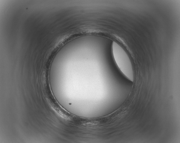 X0000082150447200701191028