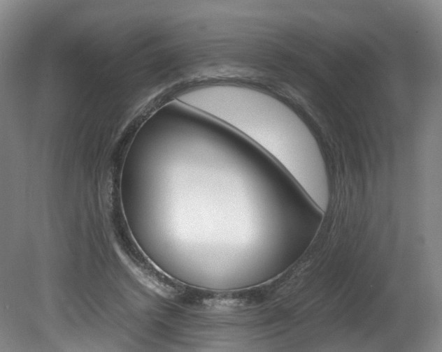 X0000082150448200701191028