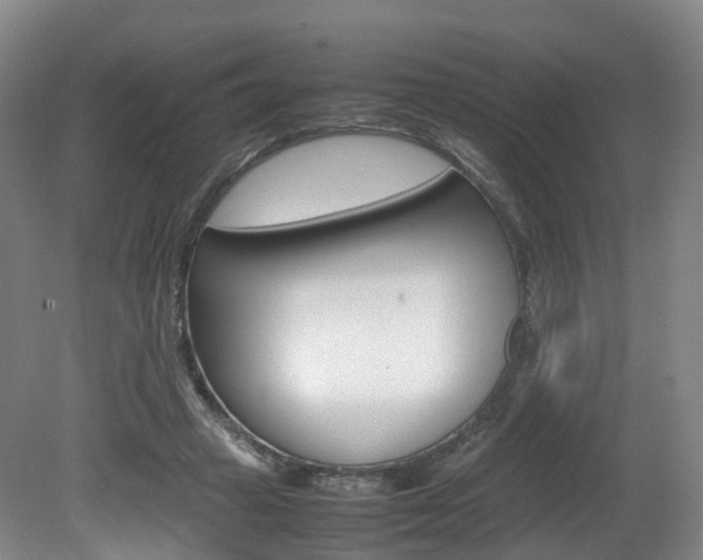 X0000082150449200701191028