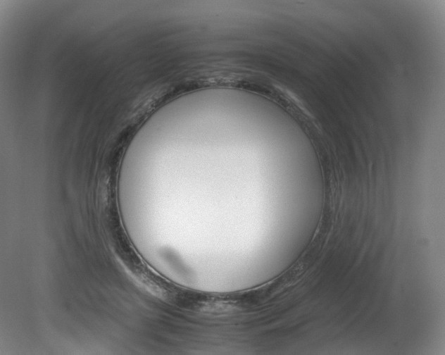 X0000082150451200701191028