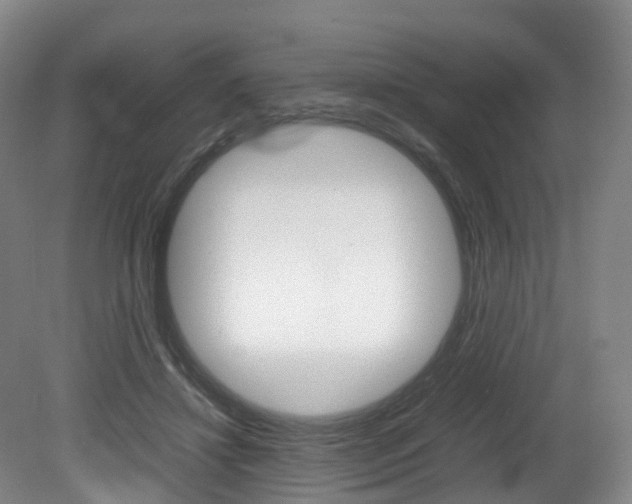 X0000082150452200701191028