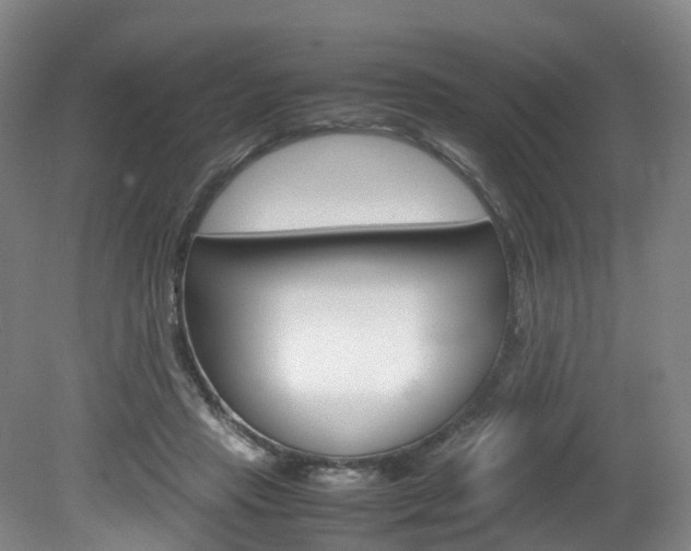 X0000082150453200701191028