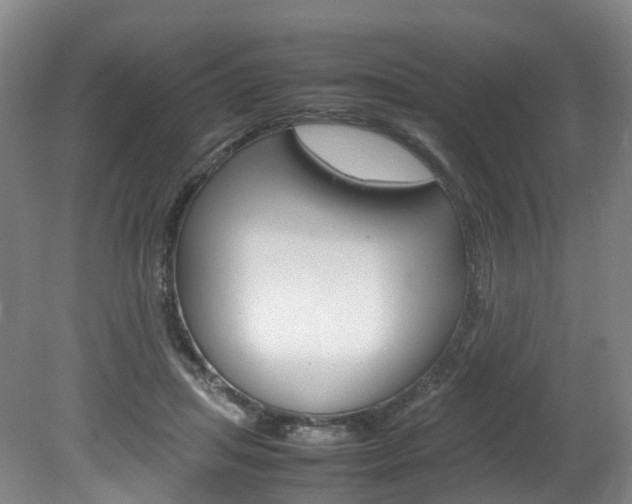 X0000082150455200701191028