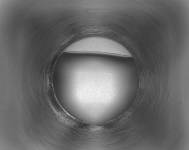 X0000082150456200701191028