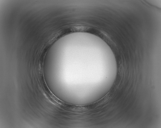 X0000082150459200701191028