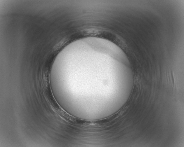 X0000082150460200701191028
