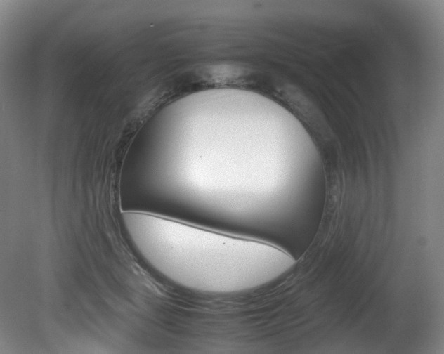 X0000082150461200701191028
