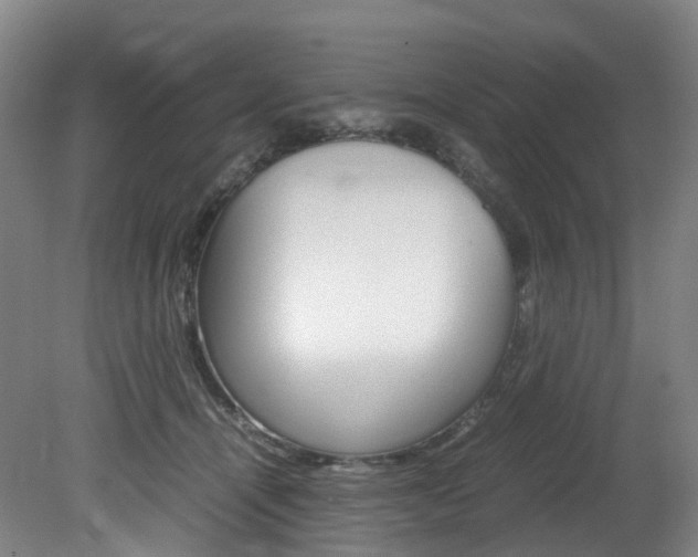 X0000082150464200701191028