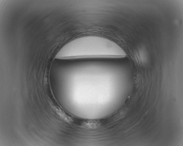 X0000082150466200701191028