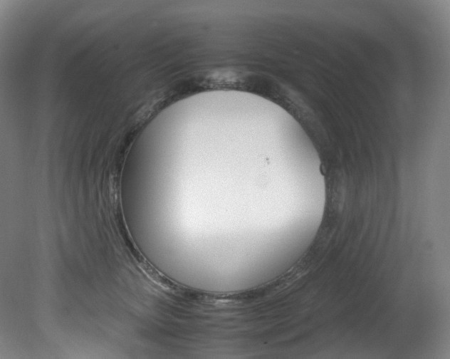 X0000082150467200701191028