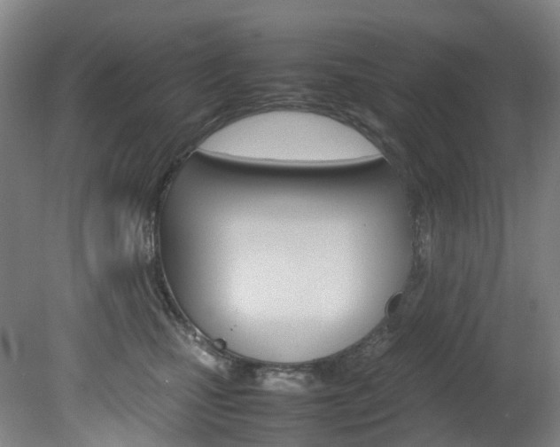 X0000082150471200701191028