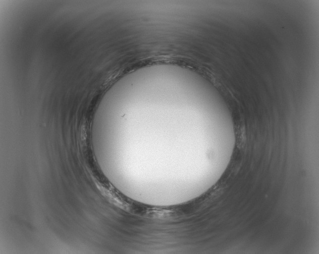 X0000082150472200701191028