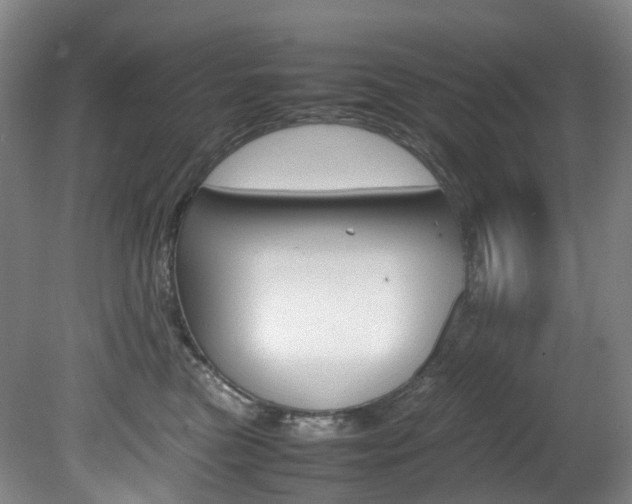 X0000082150473200701191028