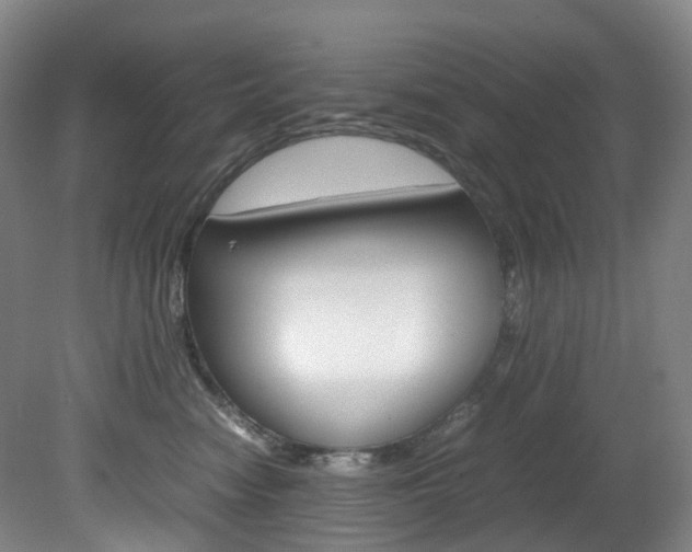 X0000082150474200701191028