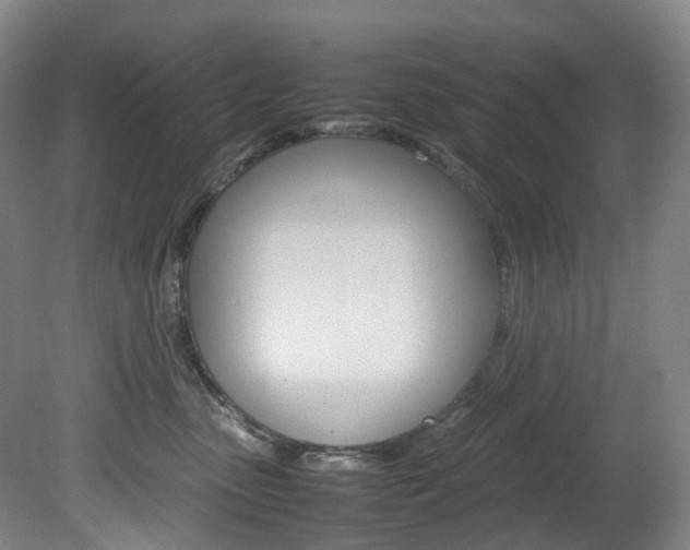 X0000082150475200701191028