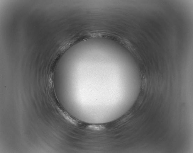 X0000082150477200701191028