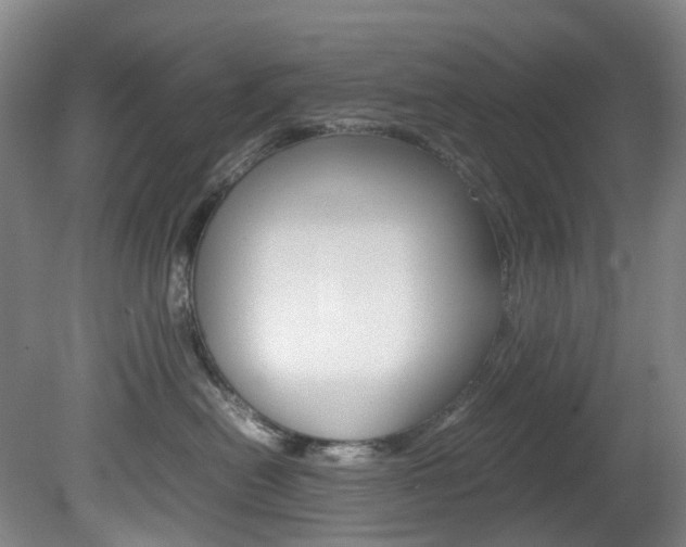 X0000082150478200701191028