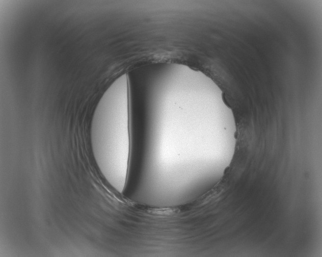 X0000082150479200701191028