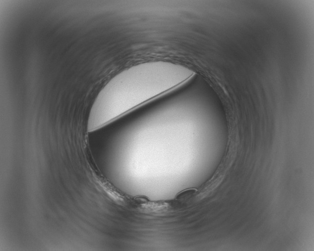 X0000082150480200701191028