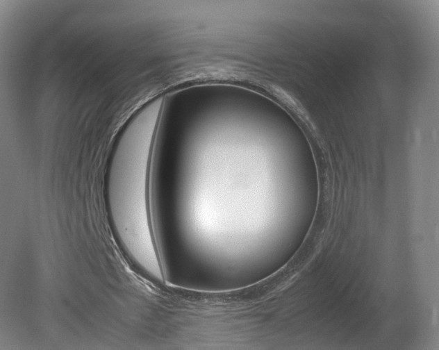 X0000082150481200701191027