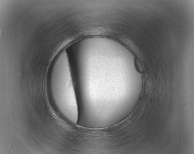 X0000082150482200701191027