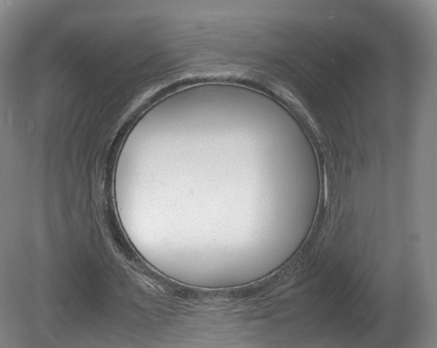 X0000082150483200701191027