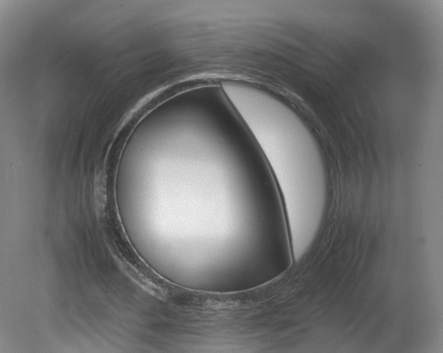 X0000082150484200701191027