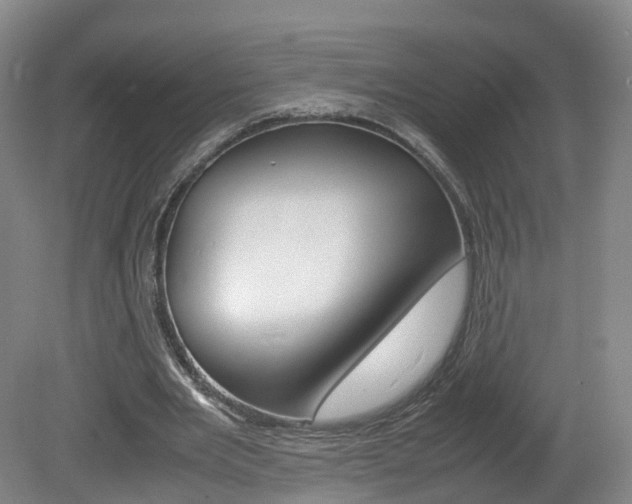 X0000082150485200701191027