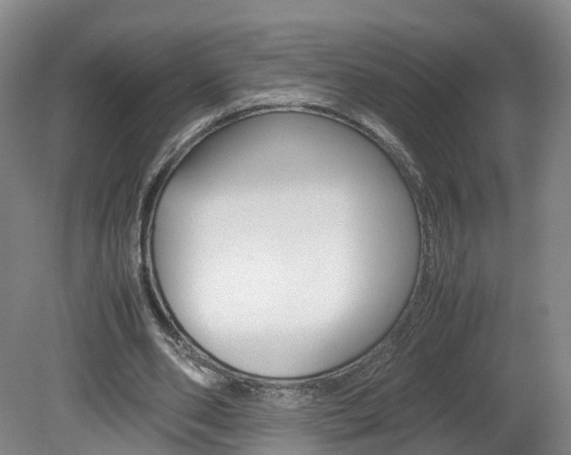 X0000082150486200701191027