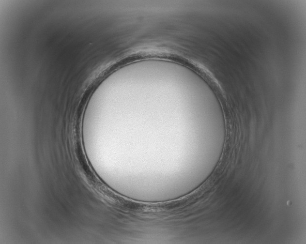 X0000082150487200701191027