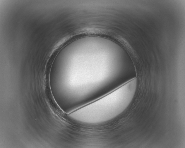 X0000082150488200701191027
