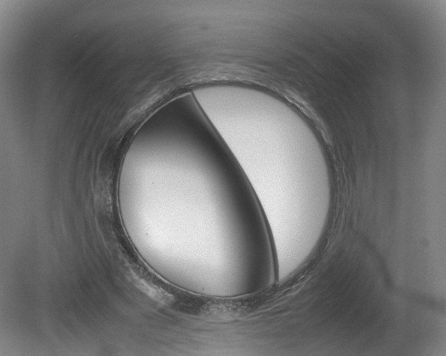 X0000082150489200701191027
