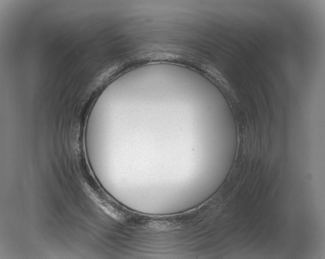 X0000082150490200701191027