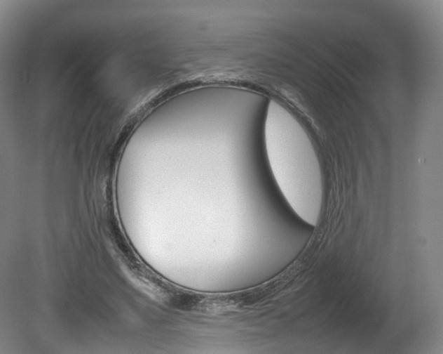 X0000082150491200701191027