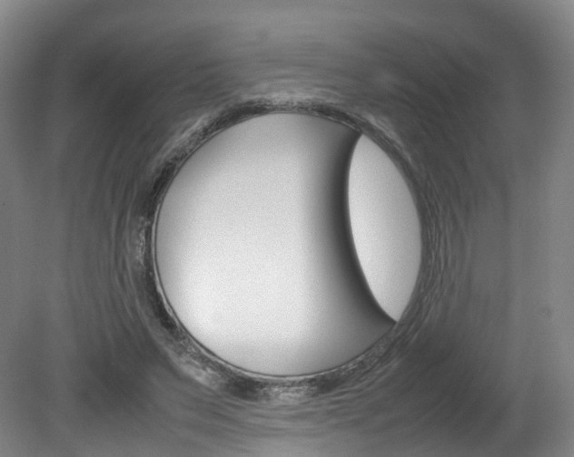 X0000082150495200701191027