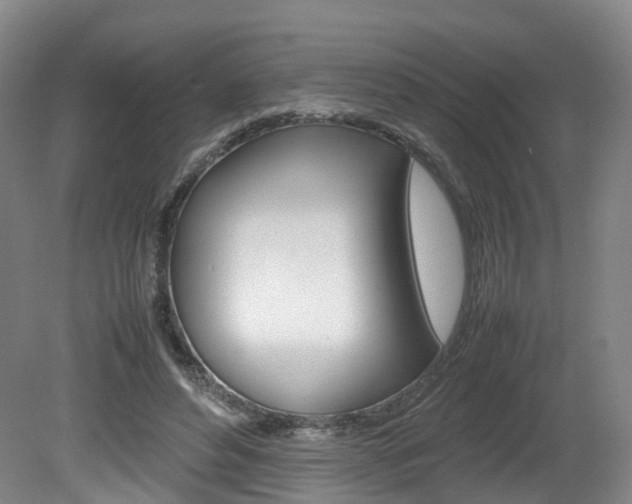 X0000082150496200701191027