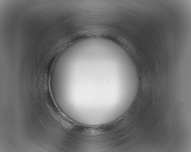 X0000082150498200701191027